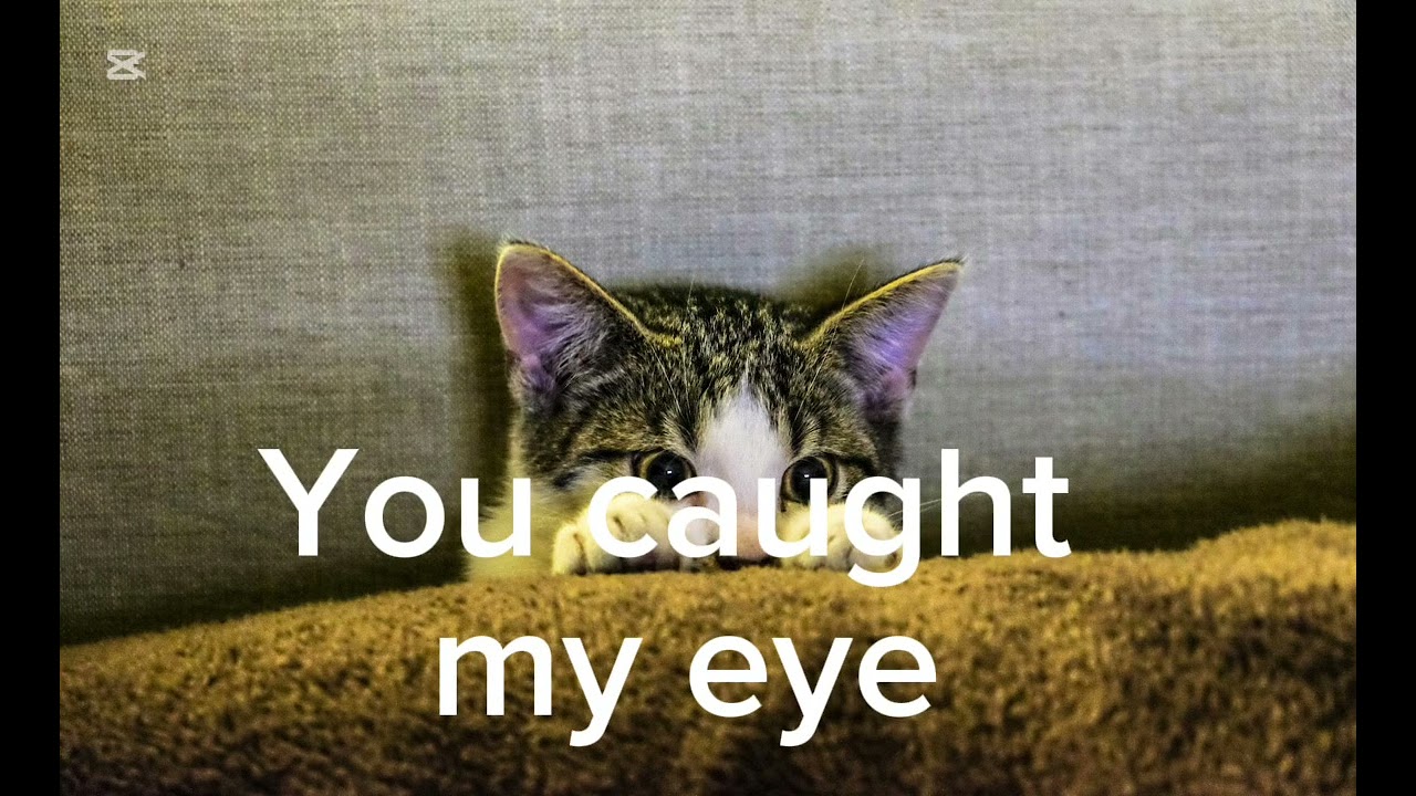 俺様系恋愛英語50フレーズ