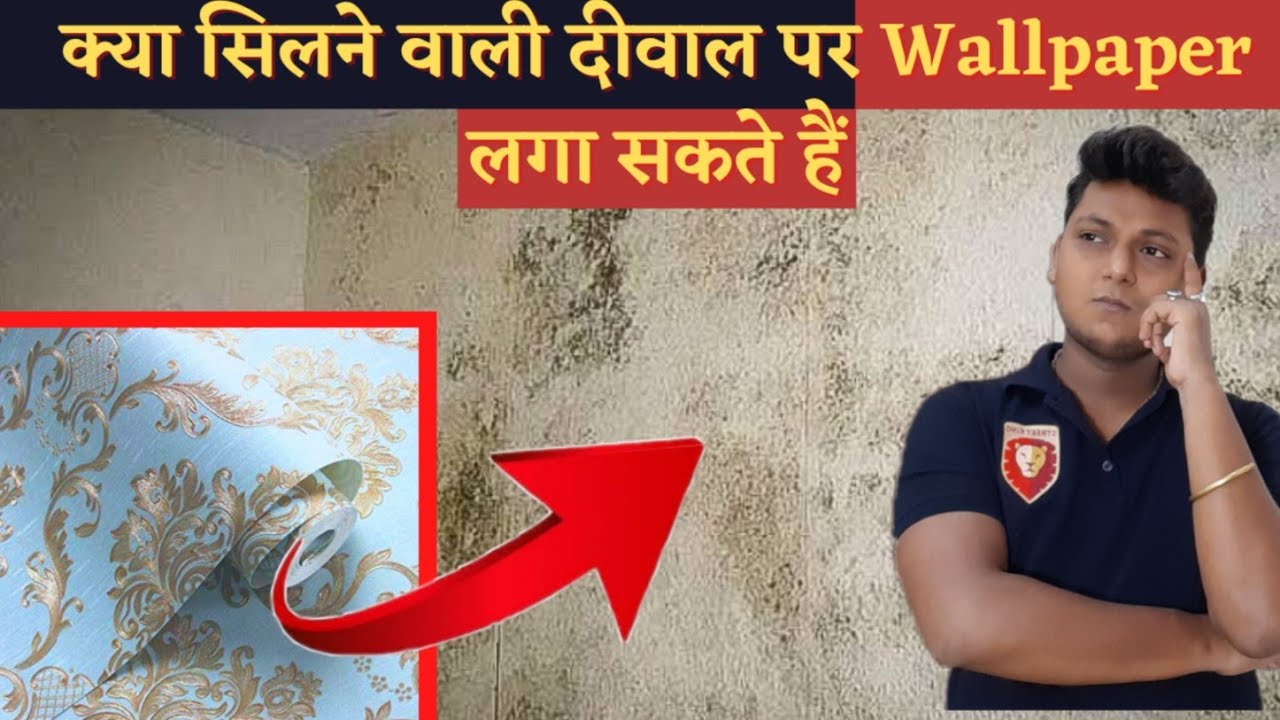 can we apply wallpaper on damp walls - wallpaper   #damp