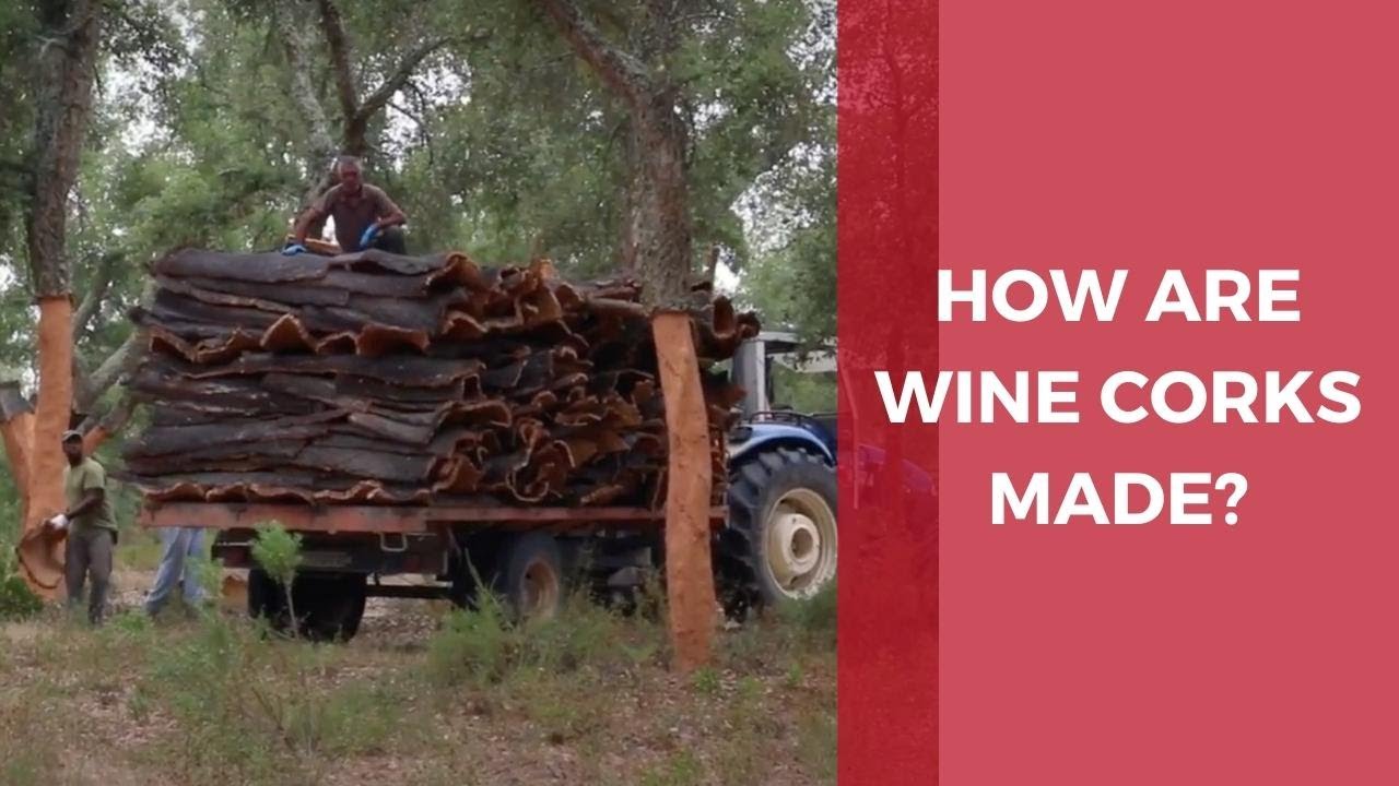 How are wine corks made? Guide to the cork harvest & wine cork production