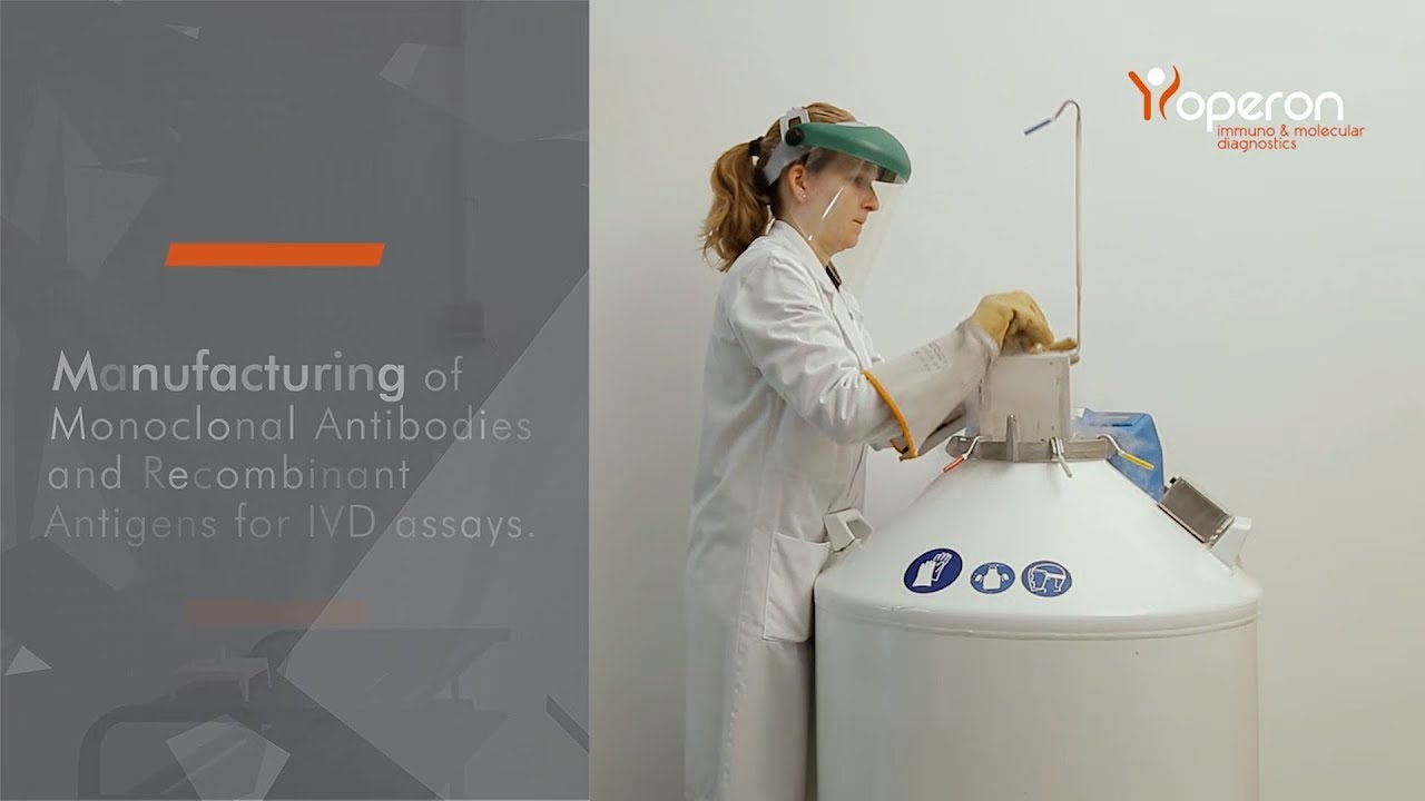 Monoclonal Antibodies and Recombinant Antigens production | contract manufacturing