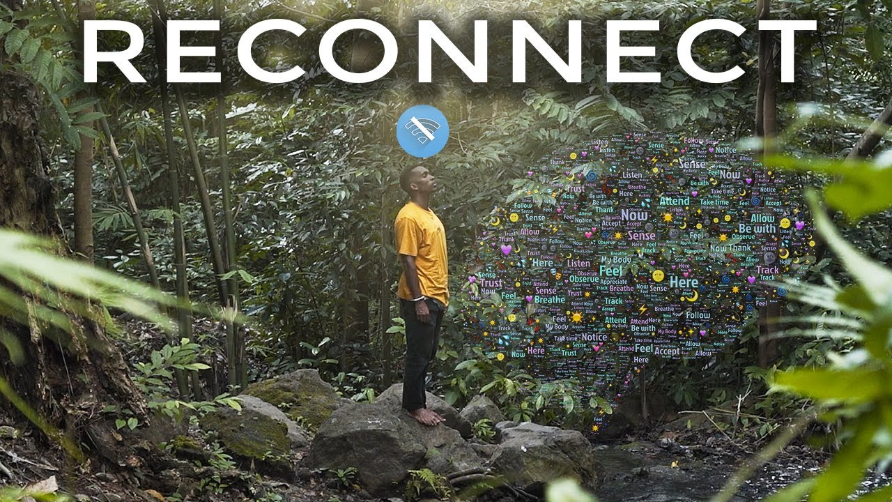 Mindfulness in Nature: How to Reconnect with Yourself?