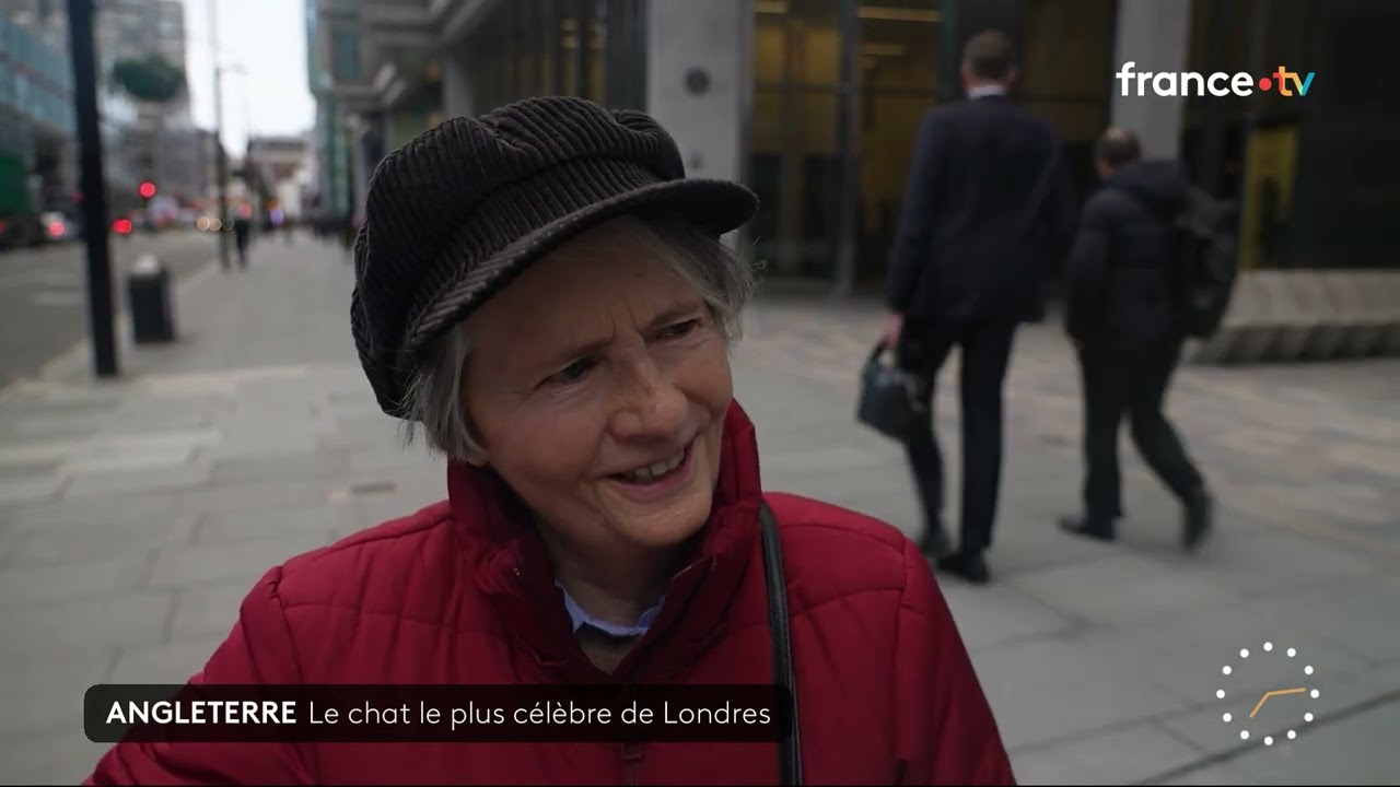 Royaume-Uni : Larry le chat fête ses 15 ans au 10 Downing Street