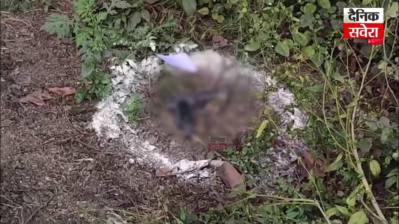 Tarn Taran | Police ਤੇ ਮੁਲਜ਼ਮਾਂ ਵਿਚਾਲੇ ਮੁ/ਠਭੇੜ, ਫਿਰੌਤੀ ਮੰਗਣ ਦੇ ਮਾਮਲਿਆਂ 'ਚ ਮੁਲਜ਼ਮ ਹਨ ਨਾਮਜ਼ਦ