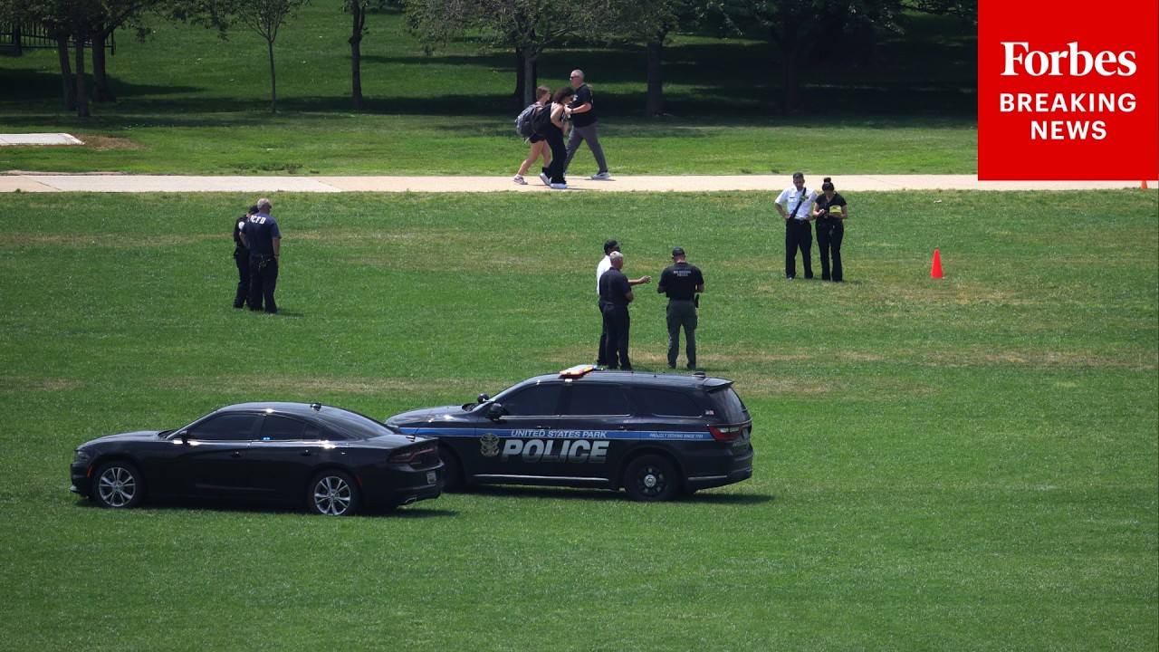 Apparent Trump Protest Phrase &lsquo;86 47&rsquo; Etched Into National Mall
