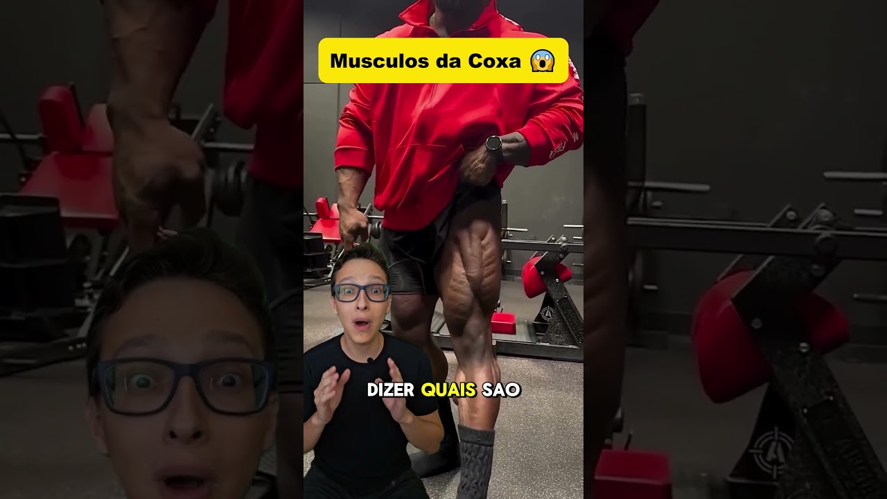 M&uacute;sculos da Coxa 😱#medicina #medico #academia #treino #muscula&ccedil;&atilde;o #musculacao #anatomia #enfermagem