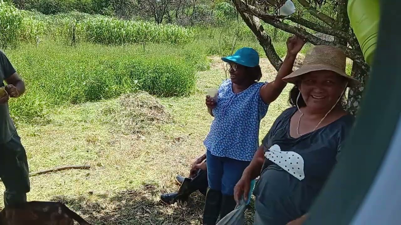 (Parte 3) Limpeza da chácara Revelamos o tamanho do terreno.