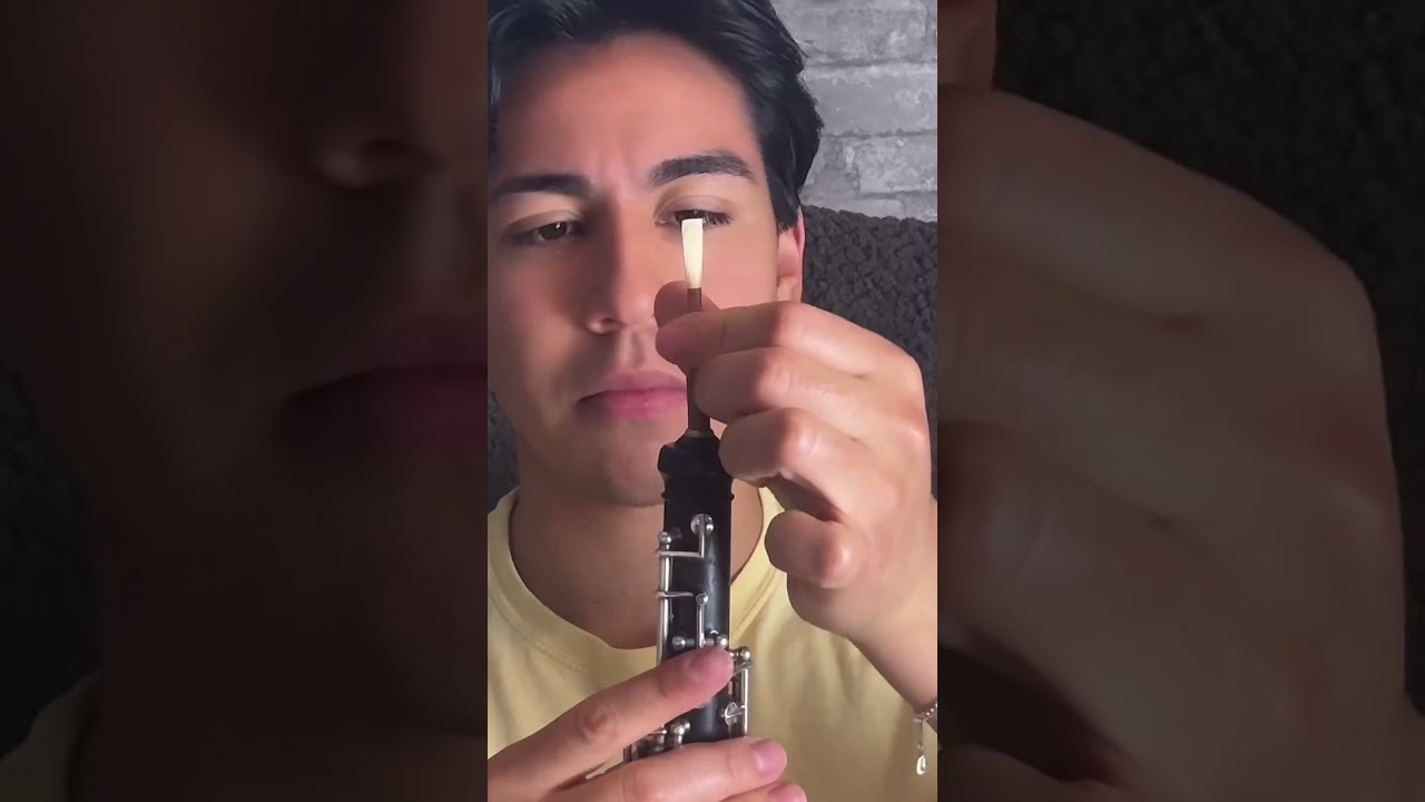 Reeds are finicky! #shortsvideo #oboe #reeds