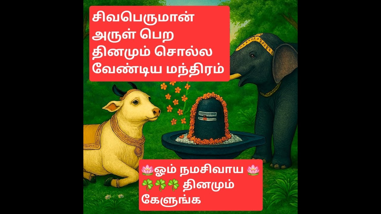 #ஓம் நம சிவாய#சிவலிங்கம் போற்றி#சிவன் அருள் பொழியும் அபிஷேக தரிசனம்#omnamahshivaya