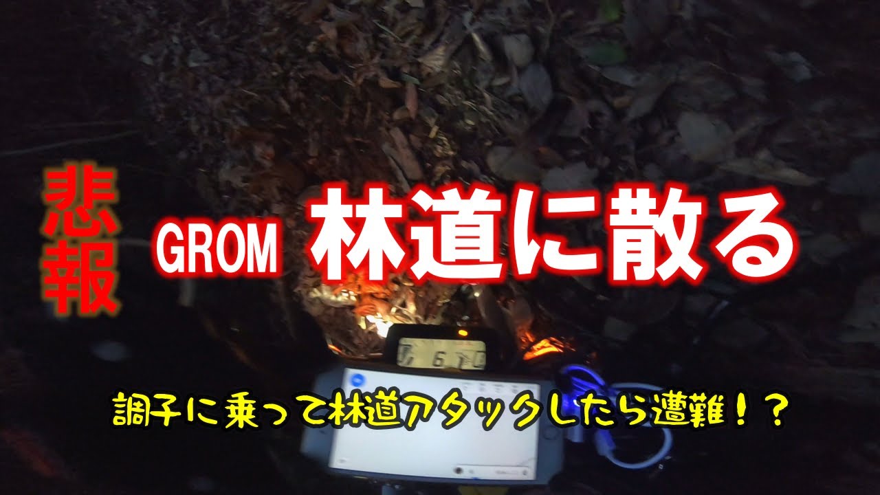 【悲報 GROM林道に散る】俺たち遭難！？GROMツーリングの帰り道日暮れ前なのに見つけた林道へ入ってしまった俺たちを待ち受けていた試練とは バイク事故！？ No.47【GROM モトブログ】