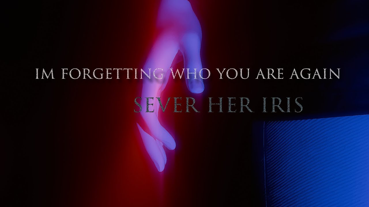im forgetting who you are again - Sever Her Iris