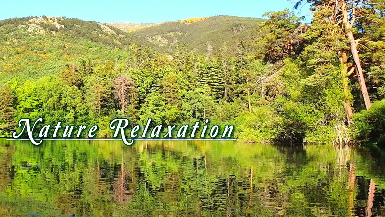 Healing Frequency Spring Therapy 🌳 Begin Your Day with POSITIVE ENERGY 🌳 Lake Ambience Meditation