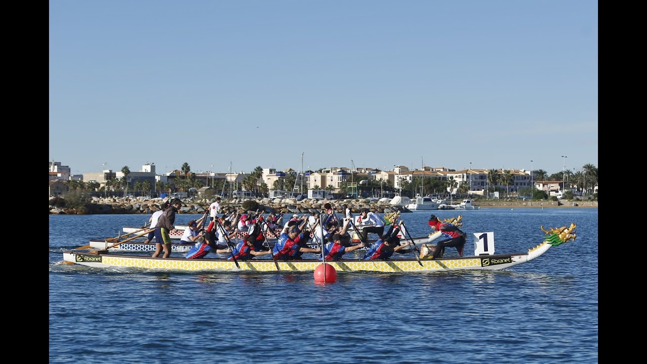 Campeonato auton&oacute;mico de Drag&oacute;n Boat Torrevieja