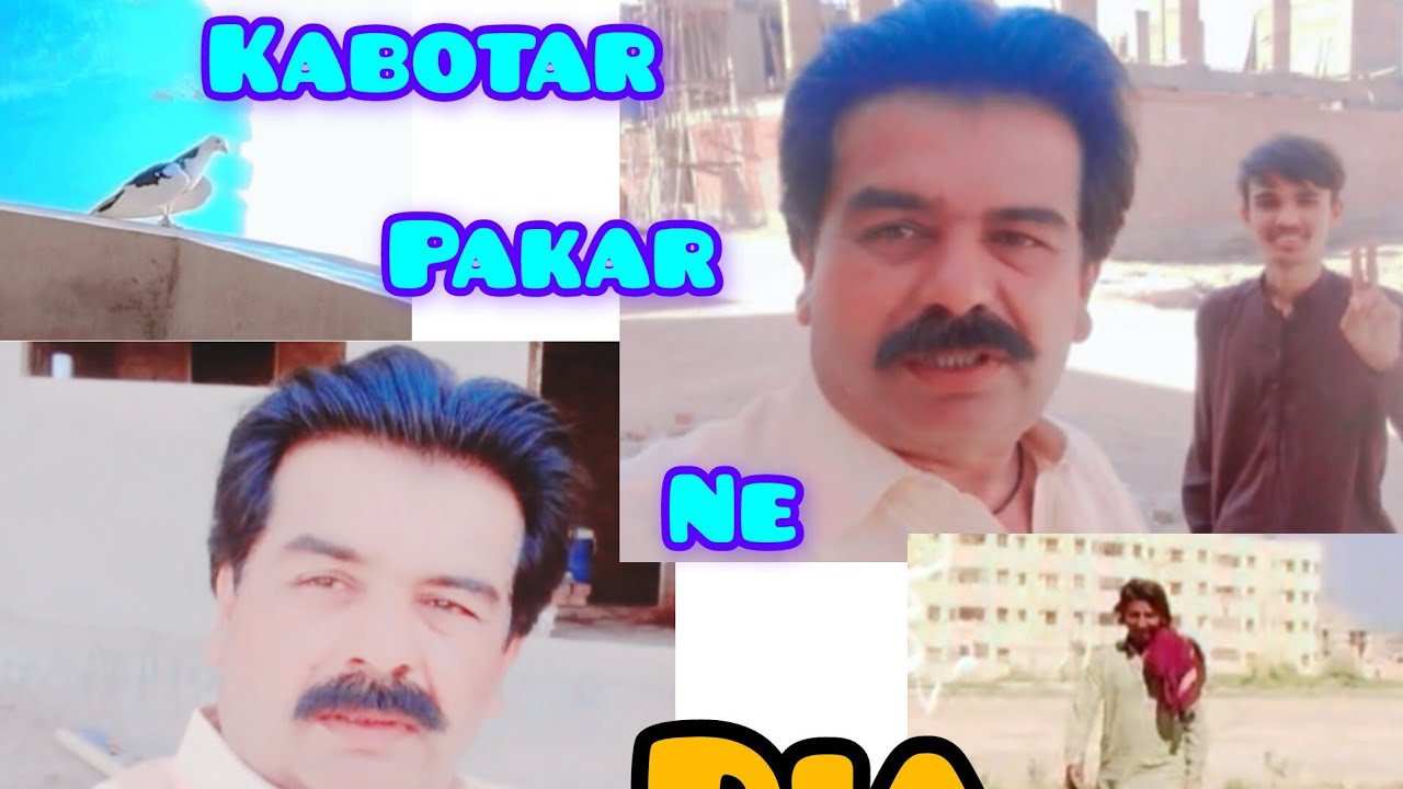 Kabotar Ne pakar ne nhe dia 🕊🕊 Bohat koshish ki 🐔