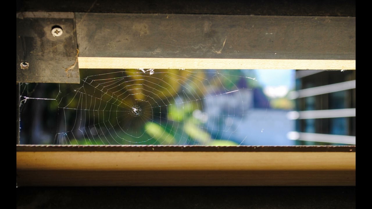 Laurent Fourbeur - The Voice In Your Head