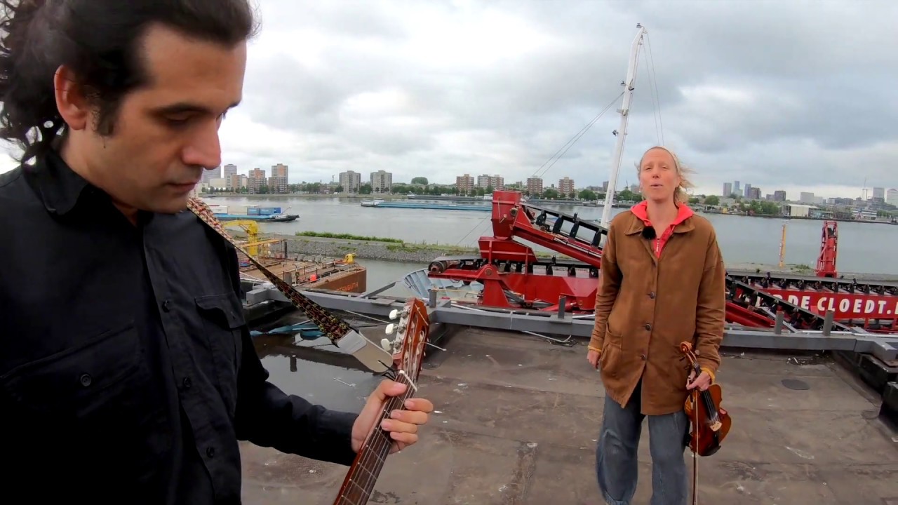 I love Rotterdam- In The Trees (Live Rooftop- Session)
