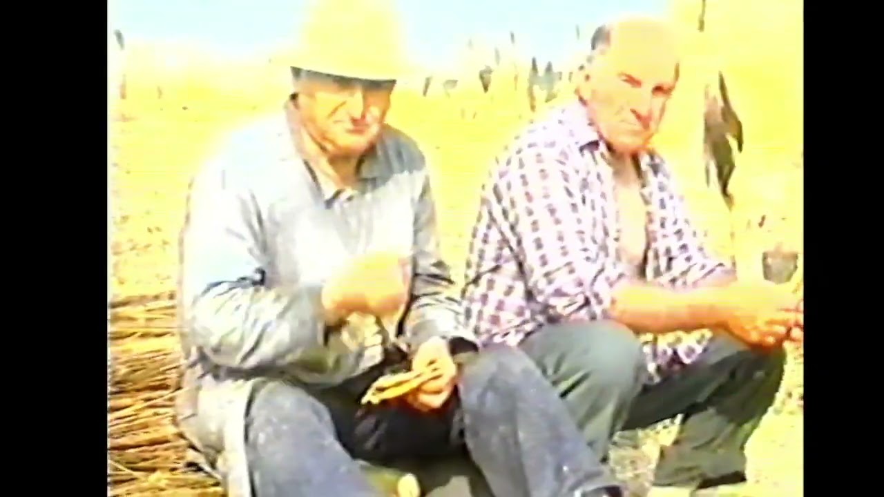 Macerazione della canapa (1992)