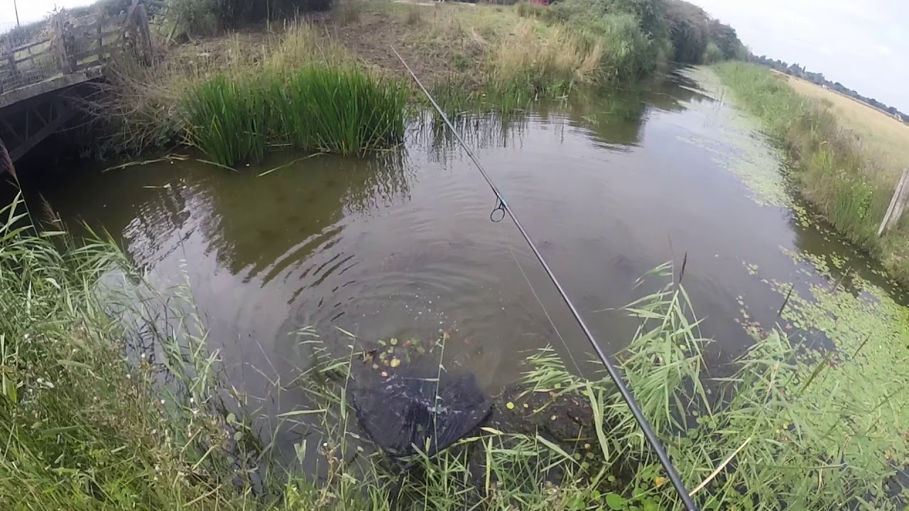 VLOG 3 CARP FISHING in a ( Sewer, drainage system)