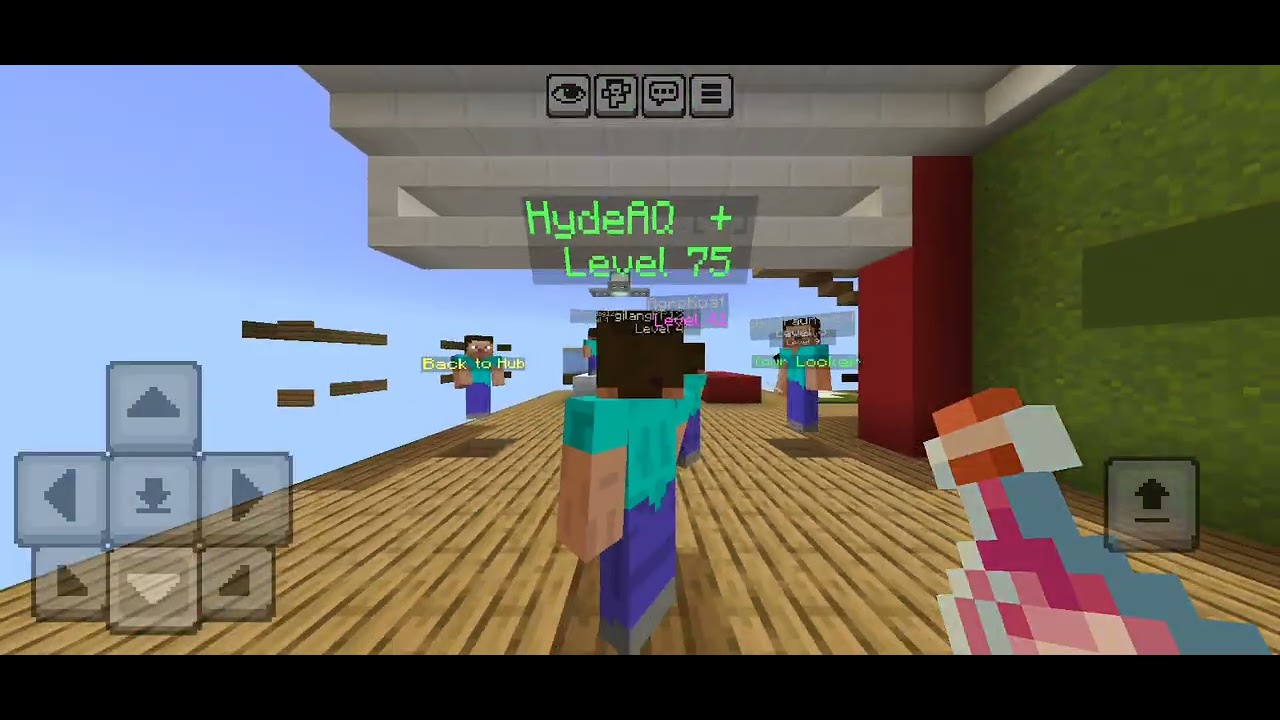 Going Pro in The Hive Hide and Seek with (HydeAQ & sekej777) 