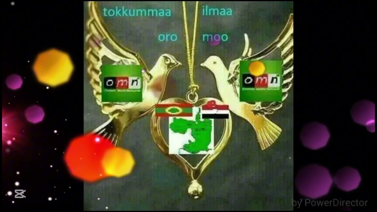 New Oromo music Abdi Ibrahim bakkalcha bariisaa 