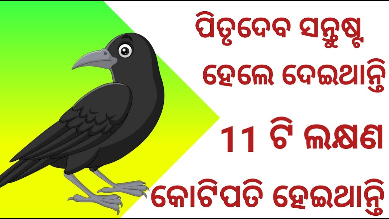 ପିତୃଗଣ ସନ୍ତୁଷ୍ଟ ହେଲେ ଏସବୁ ଲକ୍ଷଣ ଦେଖାଯାଏ | Pitru lakhyan | Pitru subha lakhyan | Odia Sukha Sansara