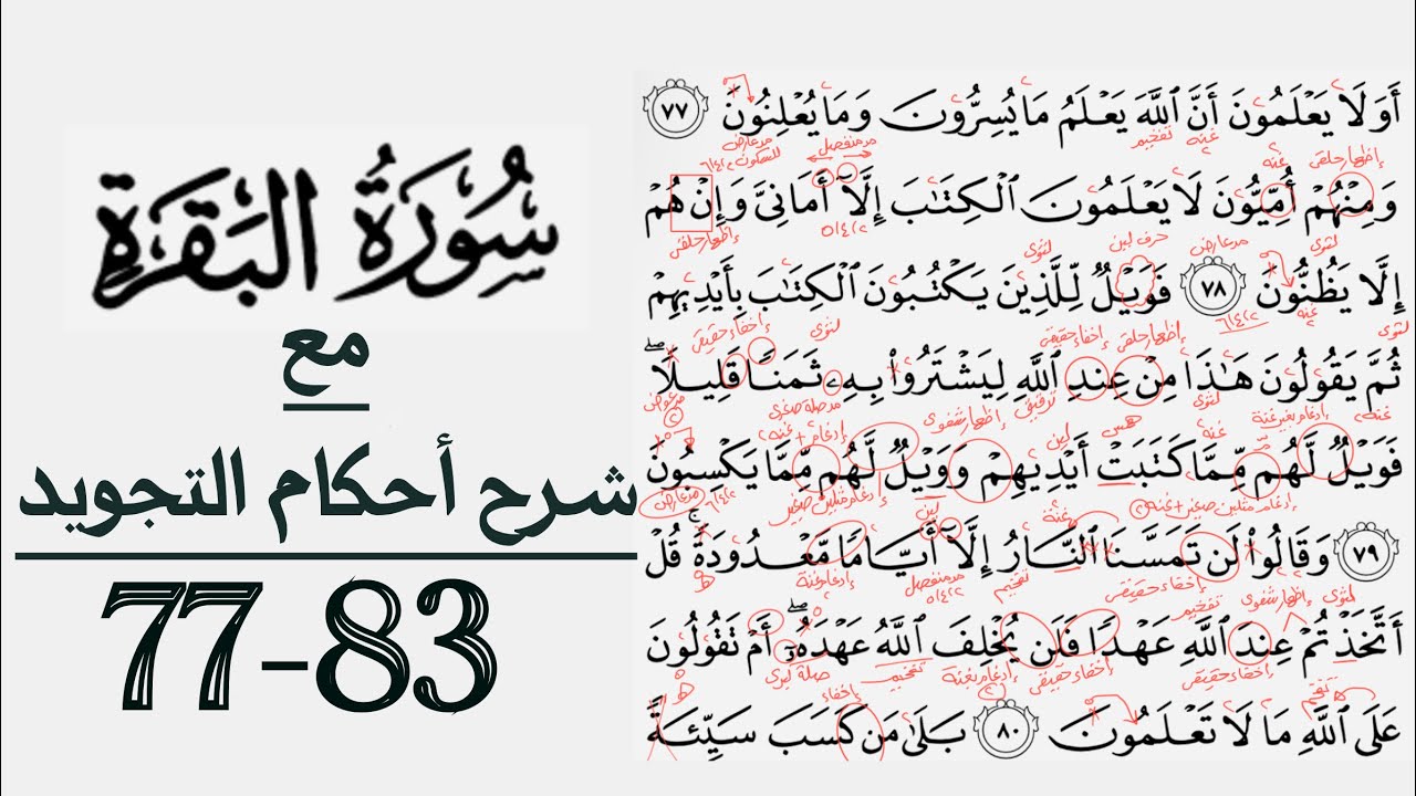 كيف تقرأ سورة البقرة مع شرح أحكام التجويد|٧٧-٨٣