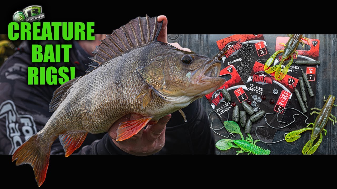 CREATURE BAIT RIGS MADE EASY | Big Perch Fishing | Perch Lures