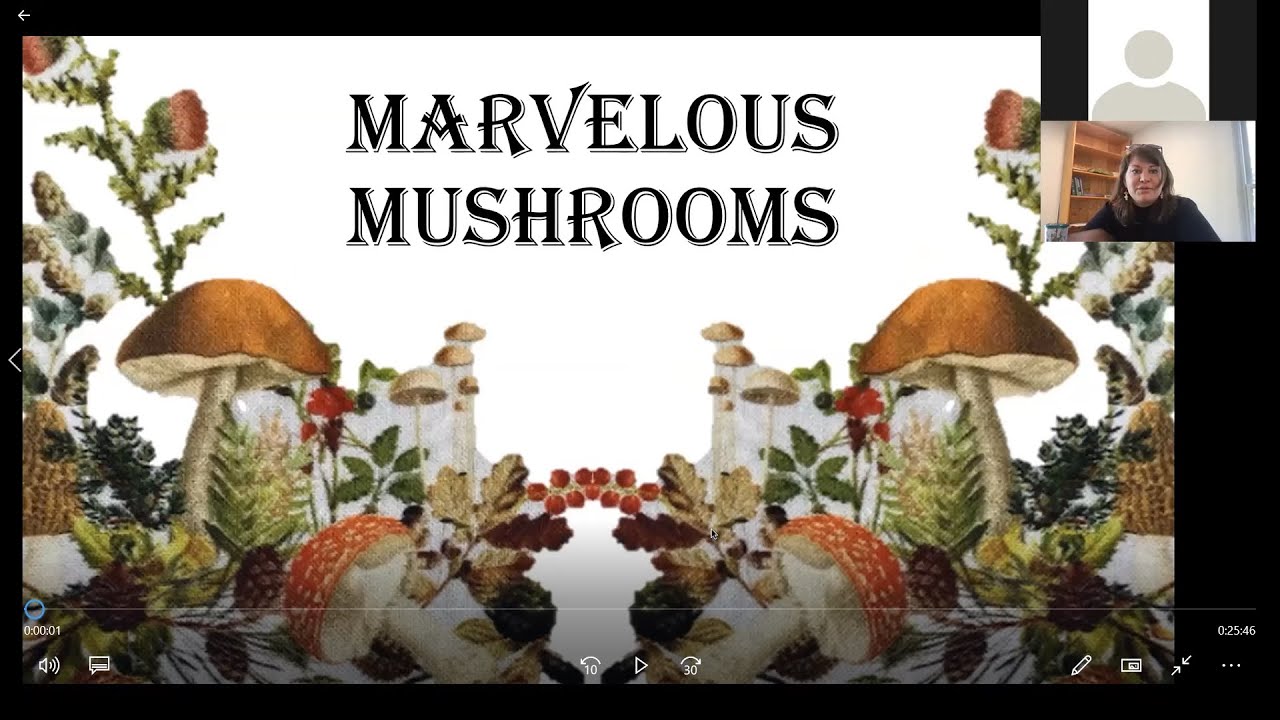 Marvelous Mushrooms of the Mountain State