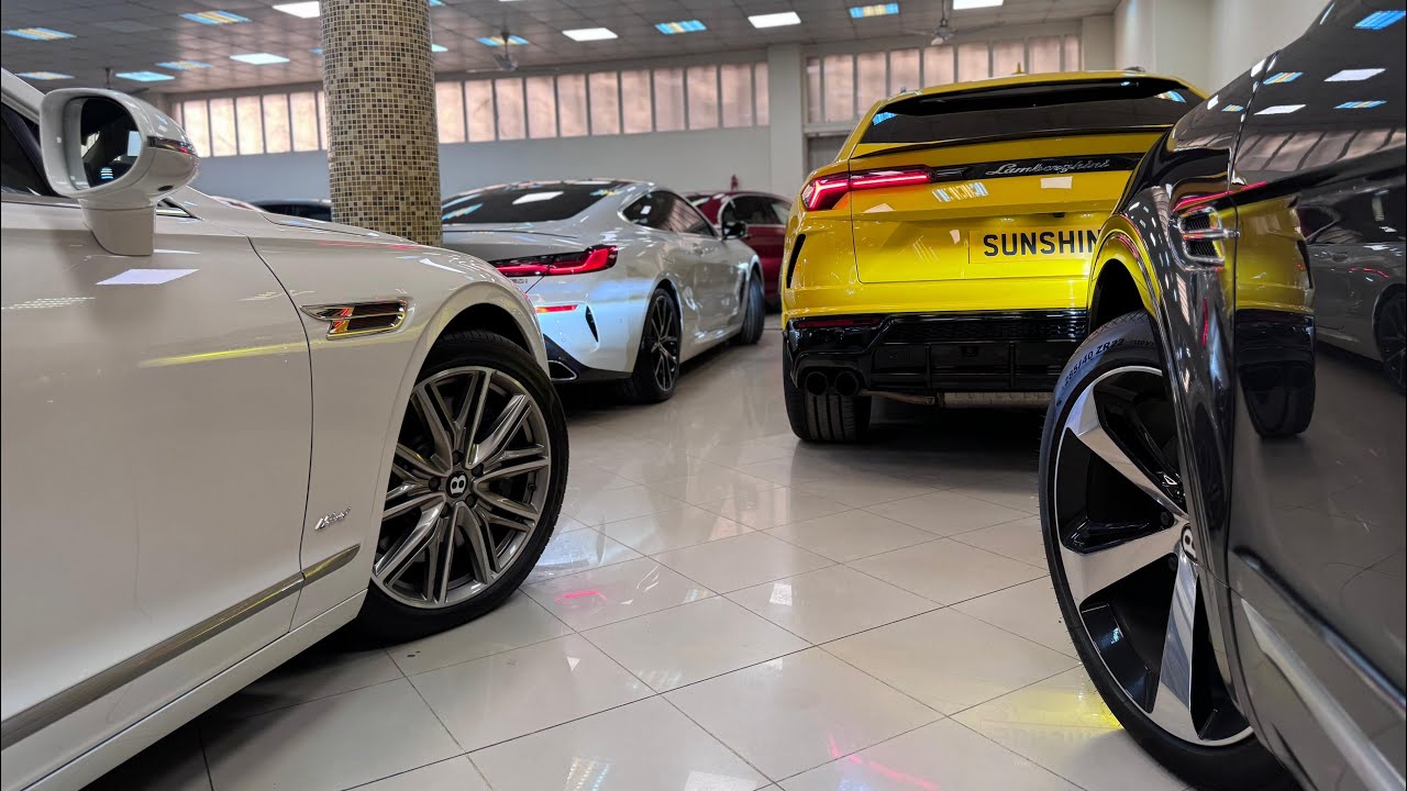 Stock Tour MashAllah 2024 ❤️| Sunshine Trading Pakistan