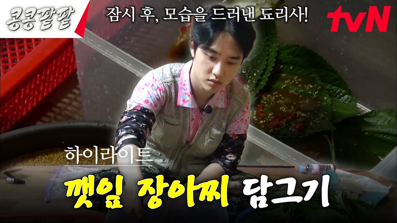 못하는 게 없는 도경수가 못하는 것 : 단톡방 읽기 #highlight #콩콩팥팥 #콩심은데콩나고팥심은데팥난다 EP.6