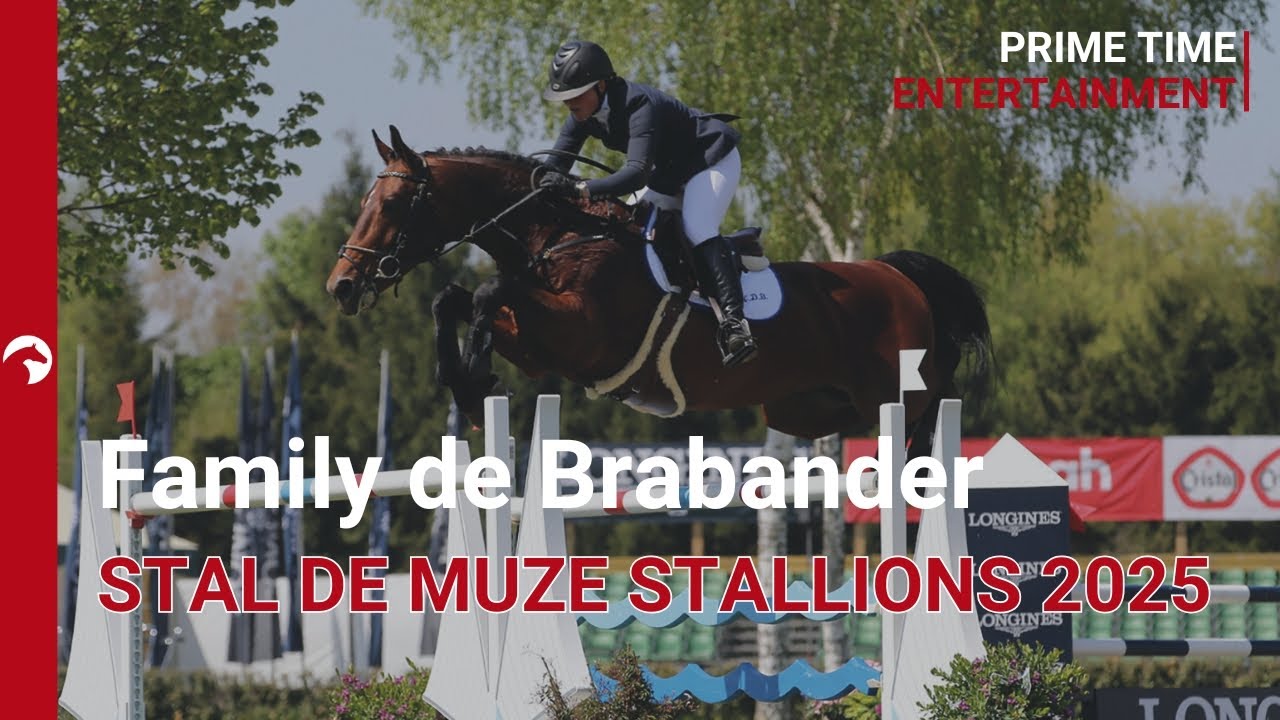 Stal de Muze Stallions 2025 - Family de Brabander
