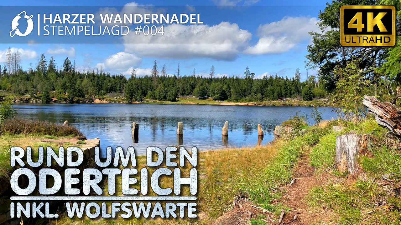 Harzer Wandernadel Stempeljagd #004 - Rund um den Oderteich + Wolfswarte