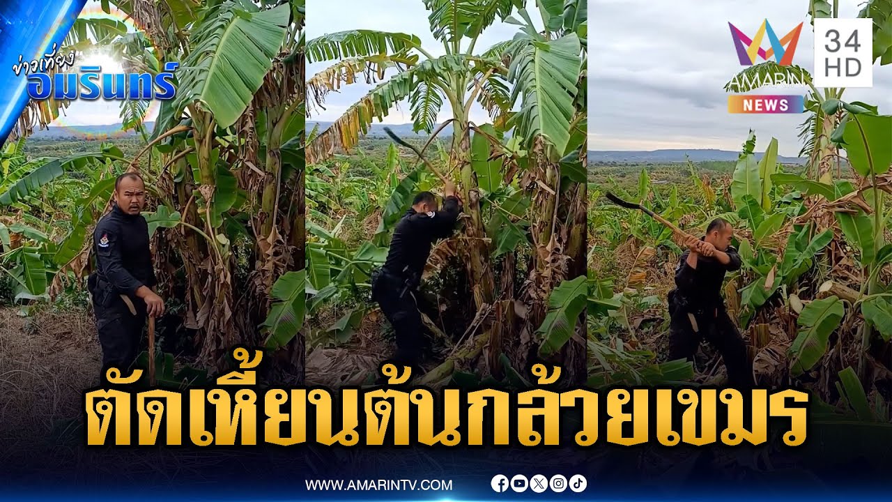 ขยี้ใจคนเขมร! ทหารตัดเหี้ยนต้นกล้วยรุกล้ำดินแดนไทย | ข่าวเที่ยงอมรินทร์ | 27 ม.ค. 69