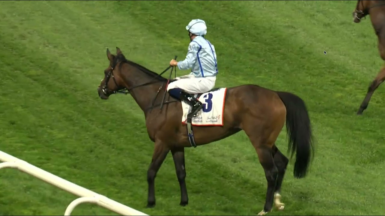 2026/2/20/R6/M Barzalona/Fairy Glen/Age5/T.S & E Crisford@1m1f(Group2)Meydan