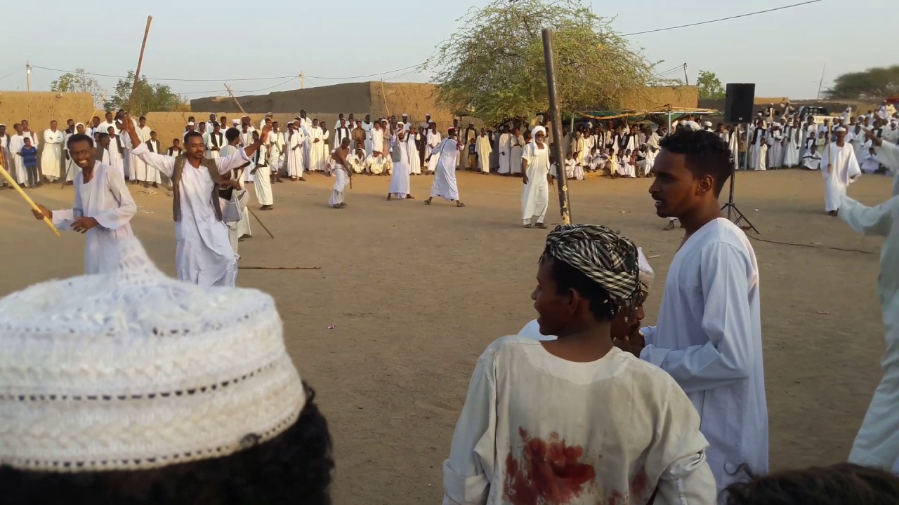 المكابراب .. زمراوي ابداع 2016