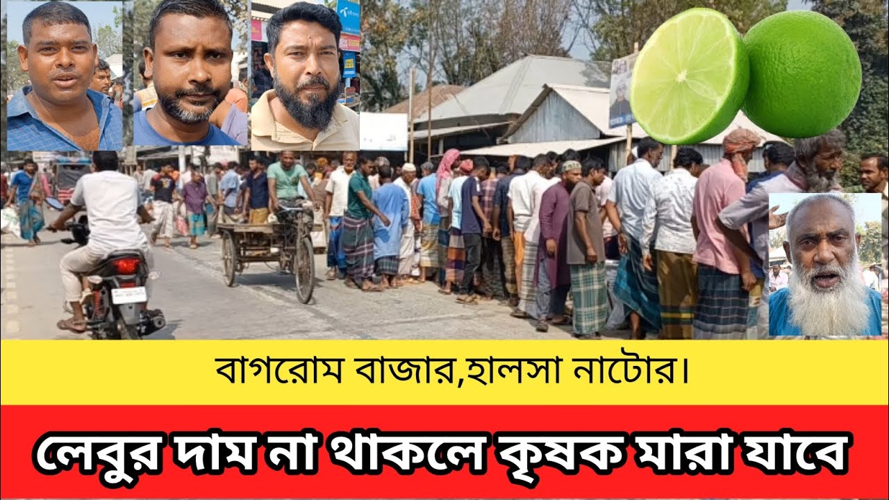 লেবুর বাজার (বাগরোম বাজার, হালসা, নাটোর) Bagrom Bazar, Halsha,Natore #লেবু পাইকারি বাজার