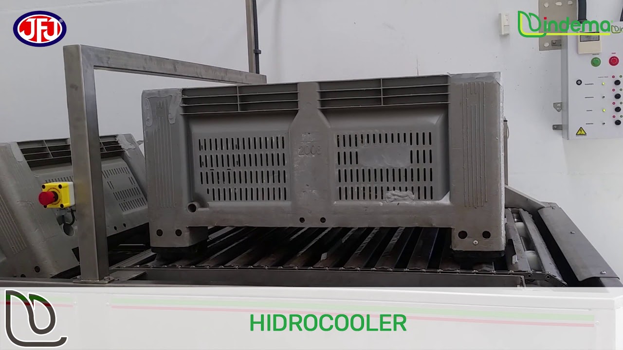 Hidrocooler para espárragos