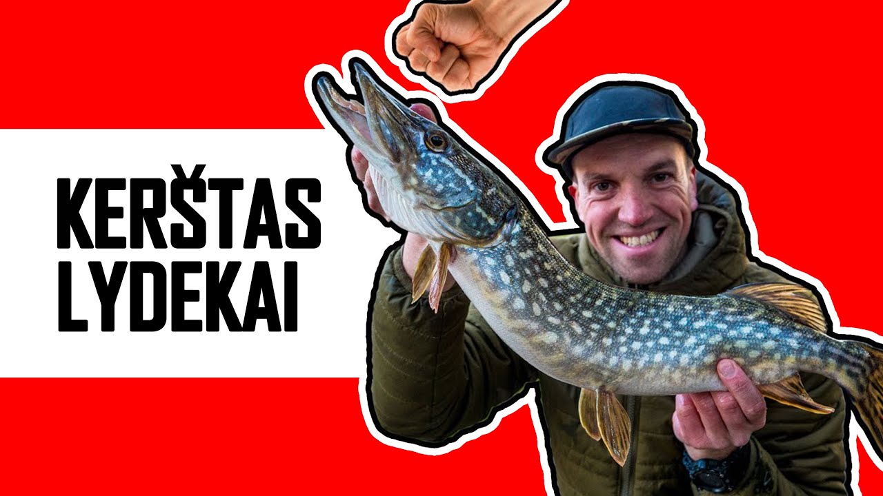 KER&Scaron;TAS LYDEKOMS ir SKLANDANTIS DŽIGAS!