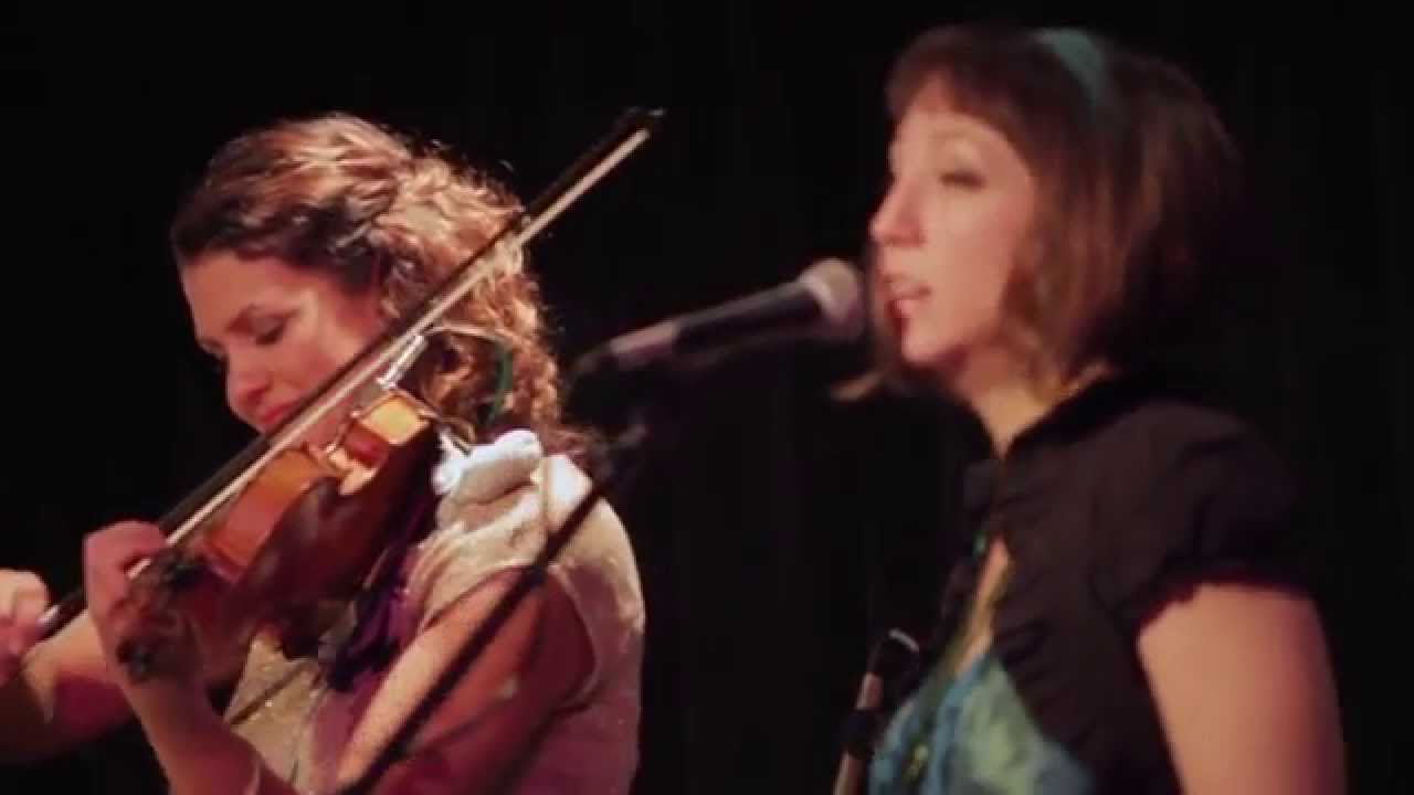 The Ark - 50 Folkin' Years!