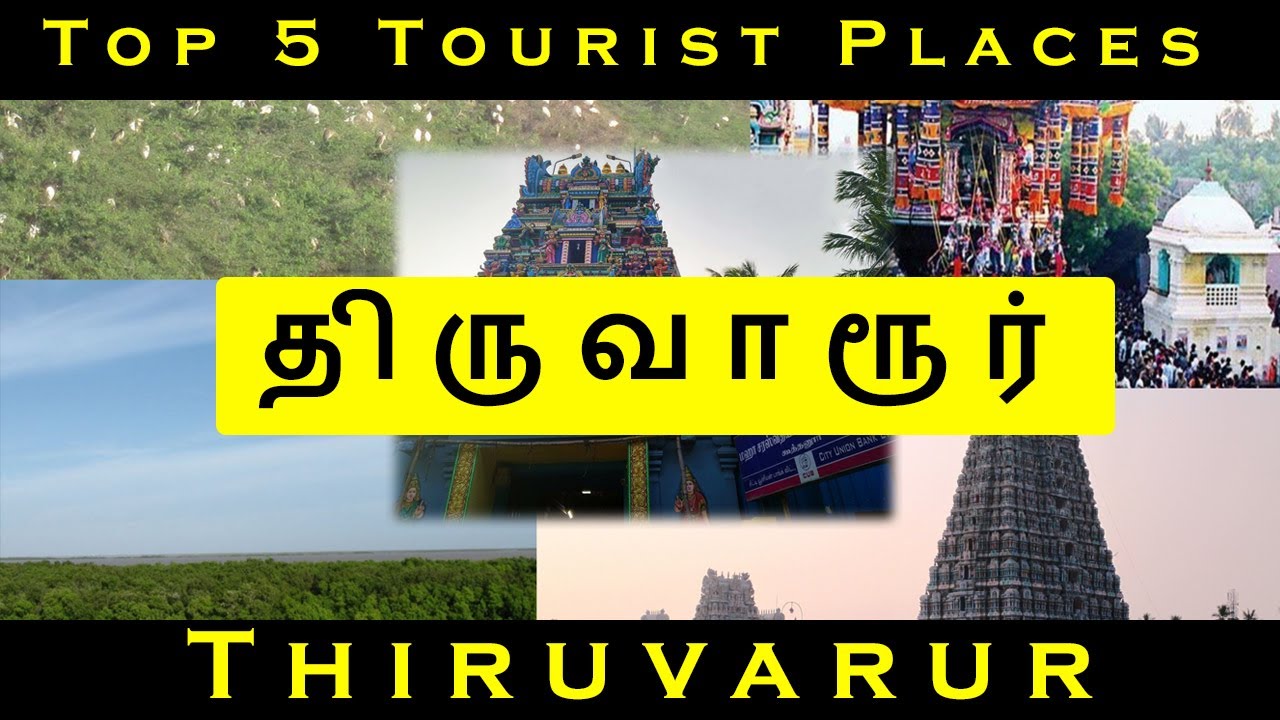 Thiruvarur Top 5 Tourist Places #23 | Saka Holiday |  திருவாரூர்