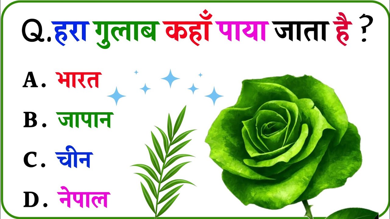 GK Question || GK In Hindi || GK Question and Answer || GK Quiz || VN STUDY POINT