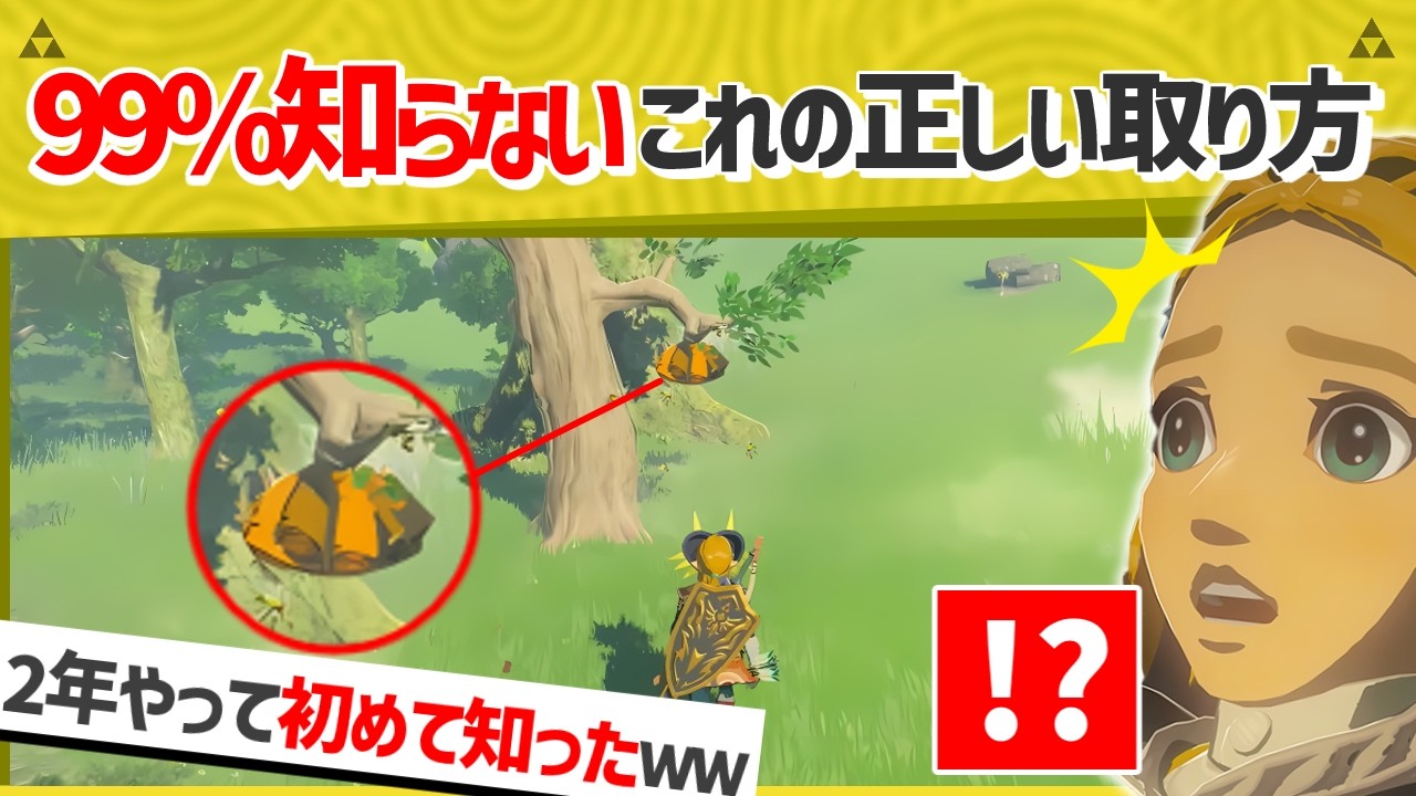 【天才】知らなきゃ損するティアキンの最強小ネタを紹介します！！【ティアキン】【面白クリップ集】