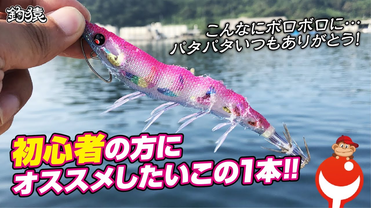 エギング入門者へ！初心者に使って欲しい簡単エギ！アオリイカ釣行