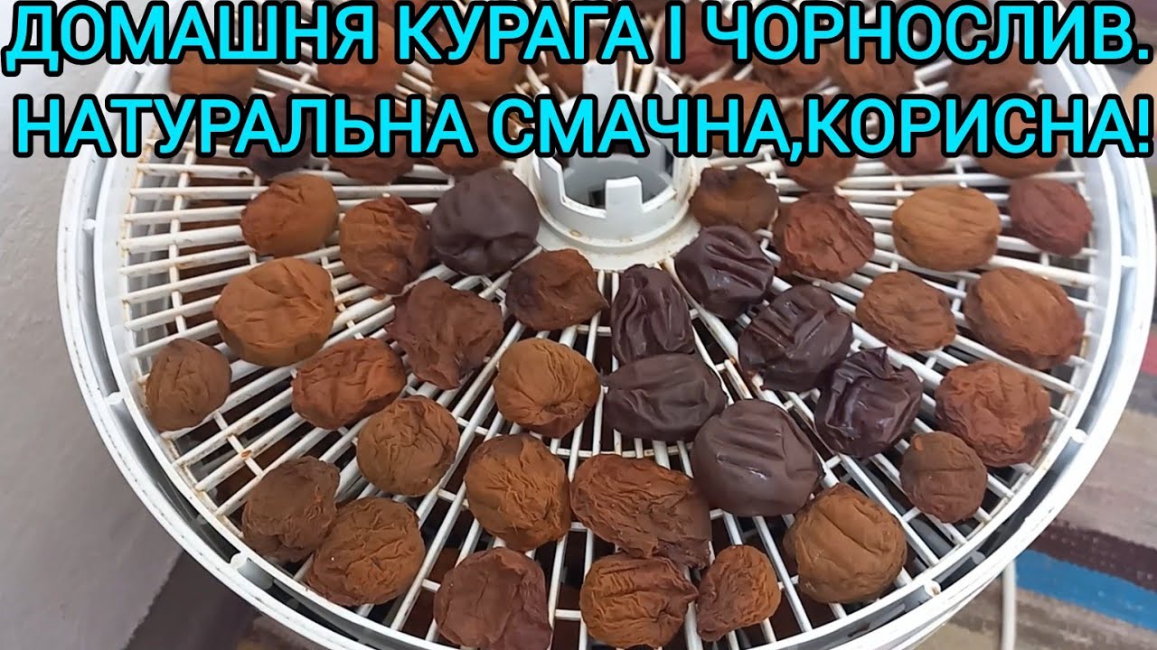 Домашня КУРАГА і ЧОРНОСЛИВ 🍑Легко приготувати навіть без електросушки#курага#чорнослив#домашніцукати