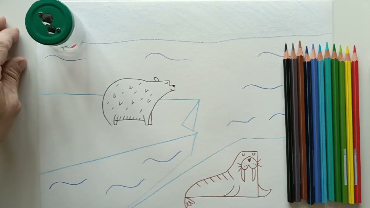 16 - L'ORSO POLARE E IL TRICHECO