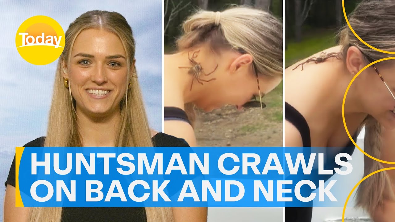 Viral video of huntsman crawling on woman&rsquo;s back and neck | Today Show Australia