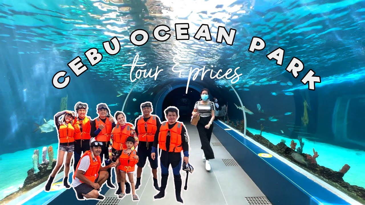 cebu ocean park (tour & prices) 🐟🌊 | gellivlogs