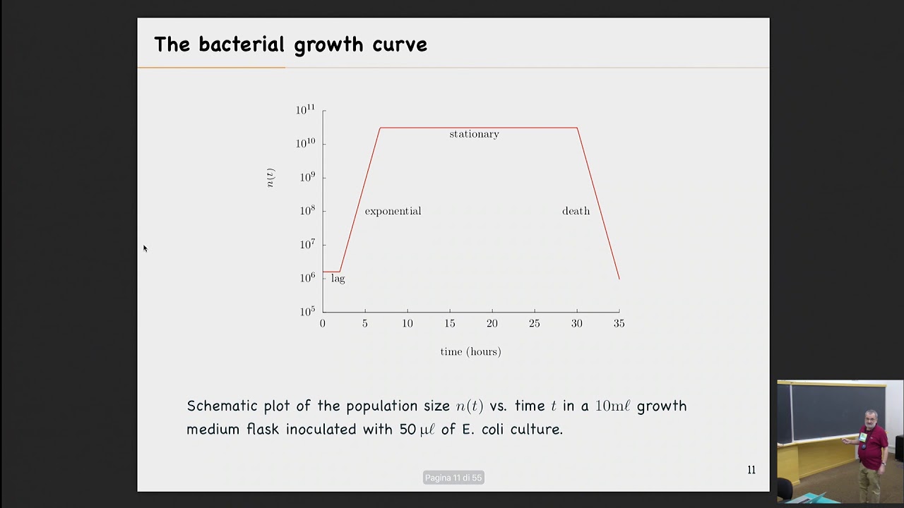 Population genetics and evolution (1 of 4)