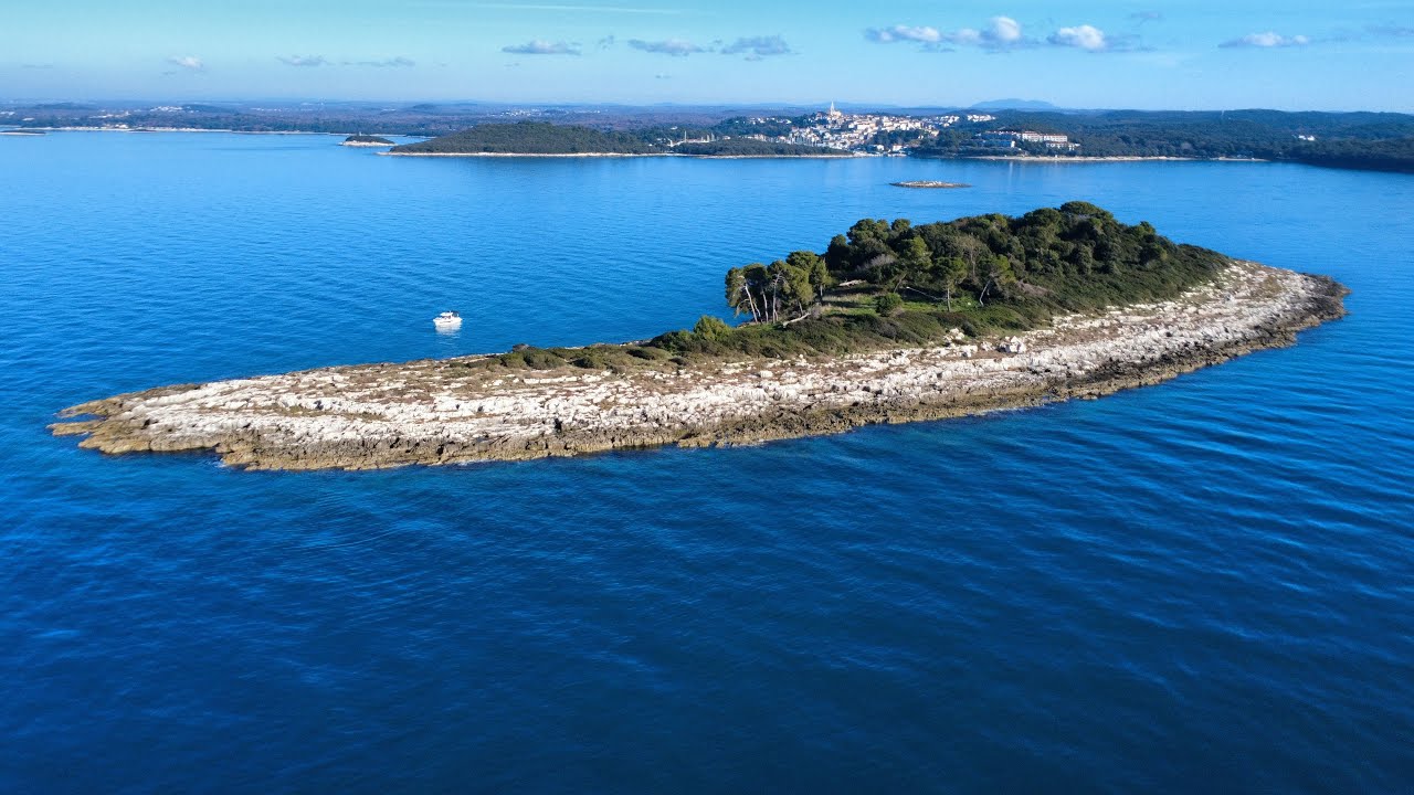 OTOK 