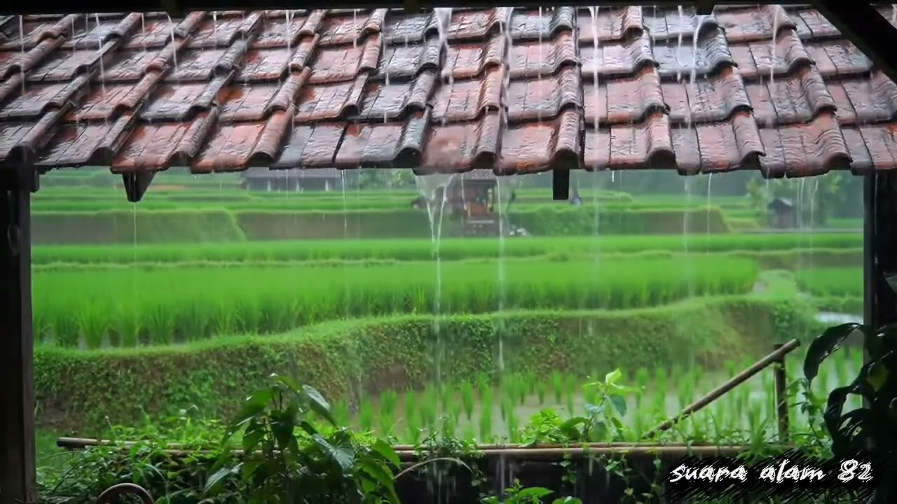 Relaxing Rain Sounds for Sleeping and Stress Relief#rain#asmrrain#rainsounds