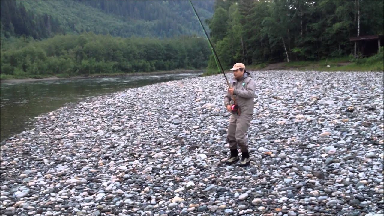 Norwegian Flyfishers Club Gaula 2013 Rune Jensen Salmon 9,5 kg